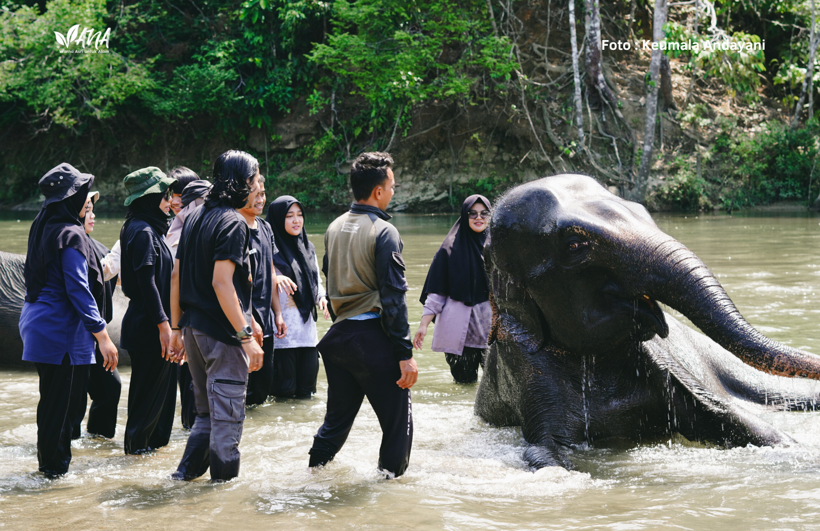 Hutan Aceh